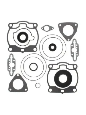 Winderosa sada těsnění motoru (s olejovým těsněním) Polaris 900 Fusion 05-06, 900 RMK 05-0 Autentický