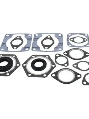 Originální Winderosa sada těsnění motoru (s olejovým těsněním) Chaparral 484/2 G50B