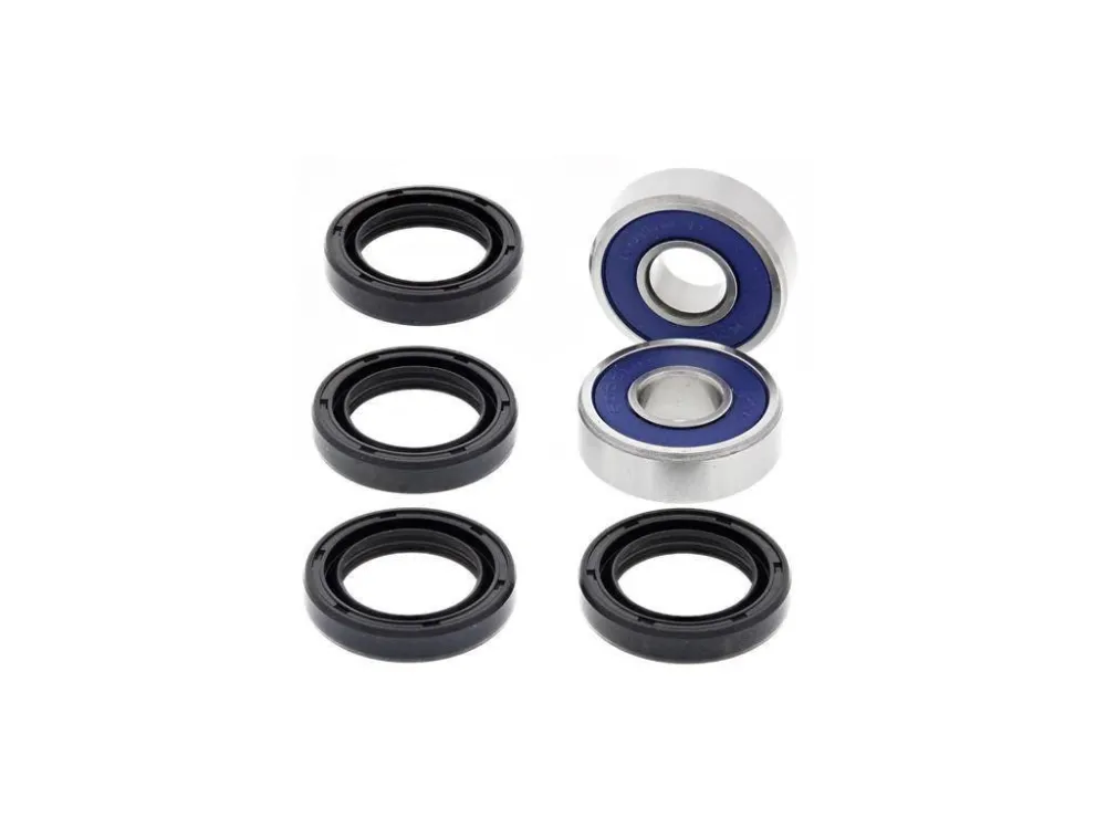 Nízká Cena All Balls spodní sada těsnění a pouzder ramen A-ARM Arctic Cat 250 2x4 06-09, 250 DVX 06-0