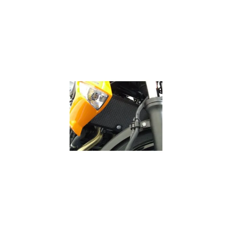 RG RAD0091BK Ochranná mřížka chladiče Kawasaki ER6F/ER6N Autentický
