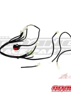Kompletní Race elektrický systém / Beta RR 4T '20 -'25- 5A Akční Cena