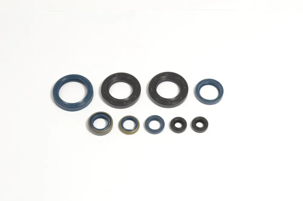 Jen Po Omezenou Doba Sada gufer motoru ATHENA P400220400250