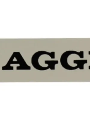 Aktuální RMS plátka PIAGGIO 142721500 malý hliník