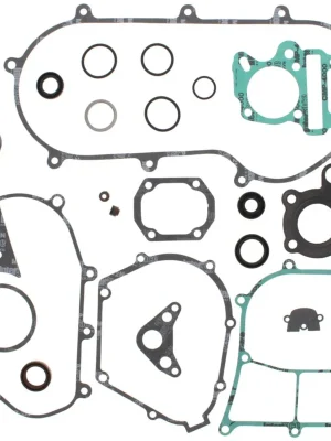 Oblíbený Sada těsnění motoru kompletní vč. gufer motoru WINDEROSA 811926