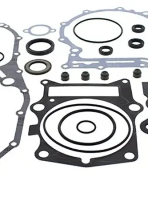 Omezená Nabídka Sada těsnění motoru kompletní vč. gufer motoru WINDEROSA 811974